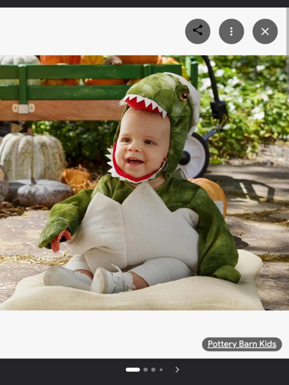 Pottery Barn T-Rex Hatchling Costume 0-6months